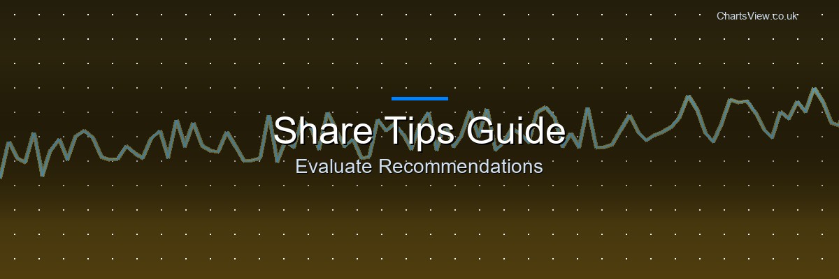 How to evaluate share tips and stock recommendations