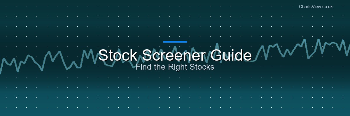 How to Use a Stock Screener to Find Your Next Investment